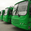 Компания «Стройкомплект» осуществила поставку зеленых пассажирских автобусов