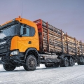 Тенденции развития сегмента грузовых автомобилей для заготовки леса
